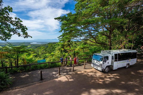 Daintree And Cape Tribulation Tour From Cairns - Tourism Cairns 3