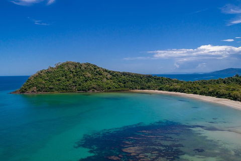 Daintree And Cape Tribulation Tour From Cairns - Tourism Cairns 4