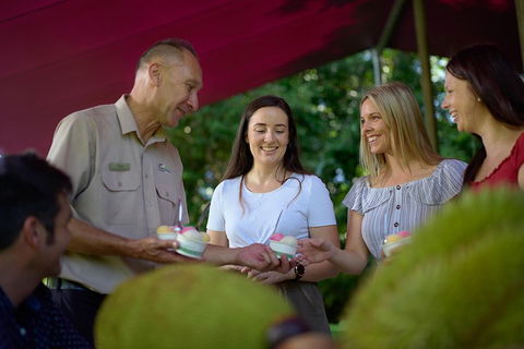Daintree And Cape Tribulation Tour From Cairns - Tourism Cairns 5