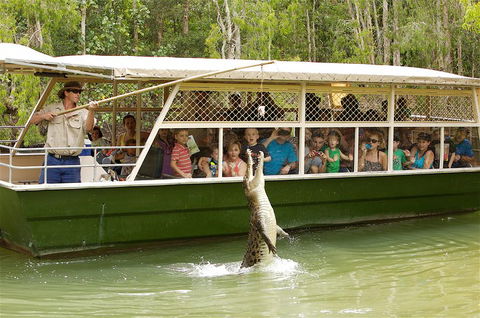 Hartley's Crocodile Adventure Half-Day Tour - Tourism Cairns 0
