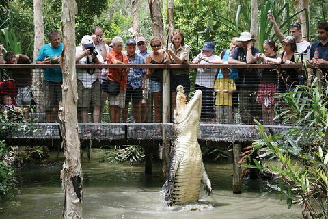 Hartley's Crocodile Adventure Half-Day Tour - Tourism Cairns 1
