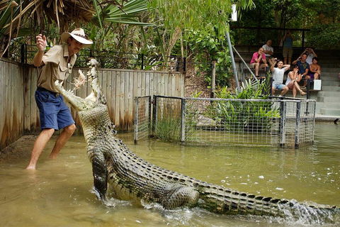 Hartley's Crocodile Adventure Half-Day Tour - Tourism Cairns 2