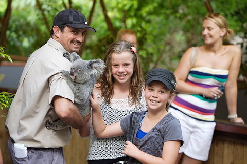 Hartley's Crocodile Adventure Half-Day Tour - Tourism Cairns 3