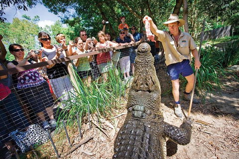 Hartley's Crocodile Adventure Half-Day Tour - Tourism Cairns 4