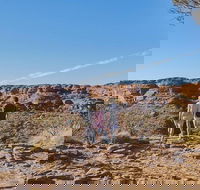 The Amazing Kings Canyon 4-Hours Walking Tour and Hike - Tourism Cairns