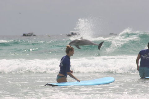 10-Day Surf Adventure From Sydney To Brisbane Including Coffs Harbour, Byron Bay And Gold Coast - Tourism Cairns 0