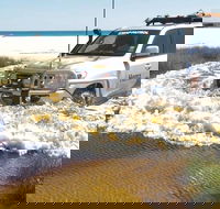 Full-Day Moreton Island 4x4 Sightseeing Tour - Tourism Cairns