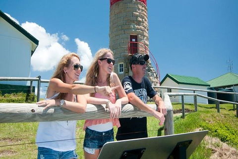 Full-Day Moreton Island 4x4 Sightseeing Tour - Tourism Cairns 3