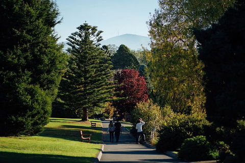 Private Royal Tasmanian Botanical Gardens Walking Tour - Tourism Cairns 1