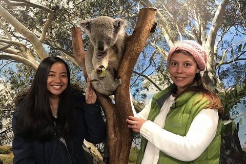Australia Multi-City Attractions Pass - Tourism Cairns 3
