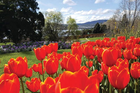 Hobart City Sightseeing Tour Including MONA Admission - Tourism Cairns 4