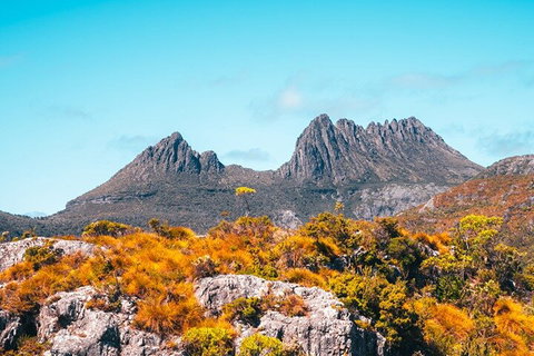 Cradle Mountain National Park Day Tour From Launceston - Tourism Cairns 1