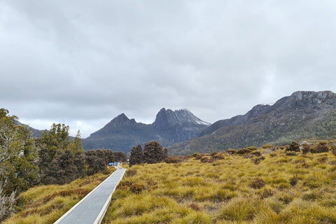 Cradle Mountain National Park Day Tour From Launceston - Tourism Cairns 2