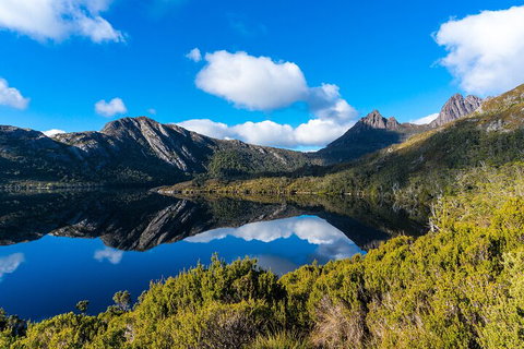 Cradle Mountain National Park Day Tour From Launceston - Tourism Cairns 3