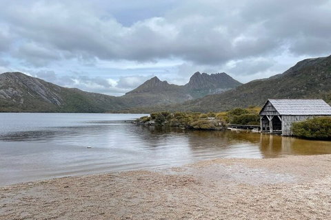 Cradle Mountain National Park Day Tour From Launceston - Tourism Cairns 4