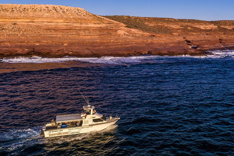 Kalbarri Sunset Coastal Cliff Cruise - Tourism Cairns 4