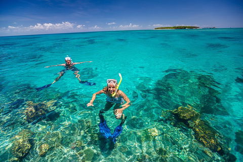 Green Island Discovery Including Glass Bottom Boat Tour Departing Cairns - Tourism Cairns 2