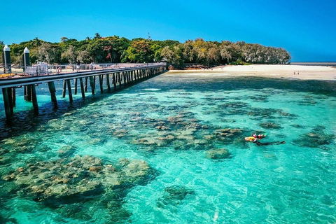 Green Island Discovery Including Glass Bottom Boat Tour Departing Cairns - Tourism Cairns 4