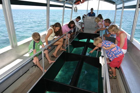 Green Island Discovery Including Glass Bottom Boat Tour Departing Cairns - Tourism Cairns 5