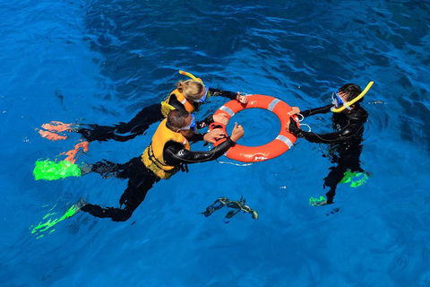 Great Barrier Reef Adventure From Cairns - Tourism Cairns 3