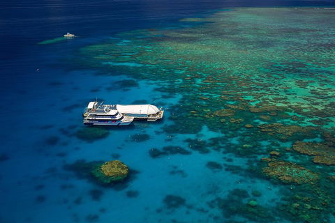 Great Barrier Reef Adventure From Cairns - Tourism Cairns 4