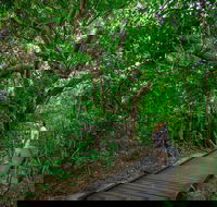 Green Island Eco Adventure from Cairns - Tourism Cairns