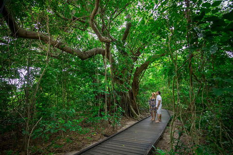 Green Island Eco Adventure From Cairns - Tourism Cairns 0