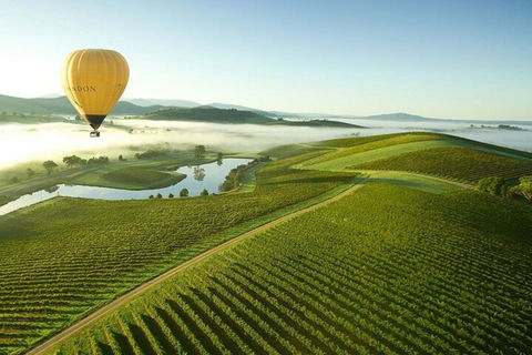 Half-Day Or Full-Day Tour With Private Guide From Melbourne - Tourism Cairns 4