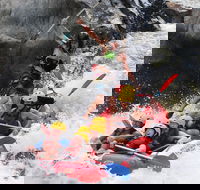 Barron Gorge National Park Half-Day White Water Rafting from Cairns or Port Douglas - Tourism Cairns
