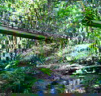 Double Pack-Ancient Rainforest and Waterfalls - Tourism Cairns