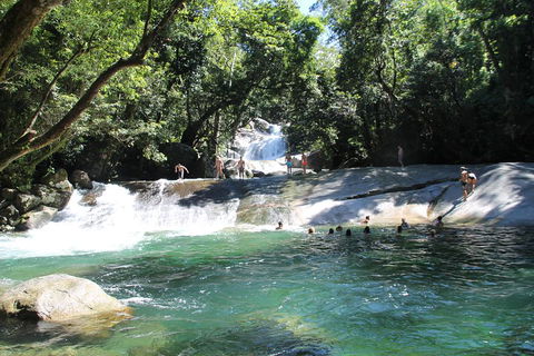 Double Pack-Ancient Rainforest And Waterfalls! - Tourism Cairns 2