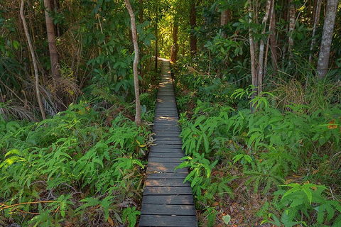 One Day Litchfield Park Adventures - Tourism Cairns 4