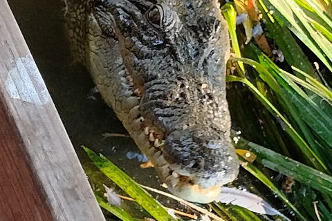 Litchfield Park Adventures And Jumping Crocodile Cruise + Butterfly Farm - Tourism Cairns 1
