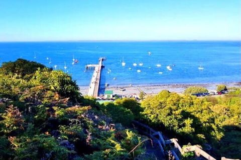 Mornington Peninsula Sightseeing Tour For 2-6 Guests. - Tourism Cairns 1