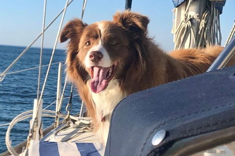 Mornington Peninsula Sightseeing Tour For 2-6 Guests. - Tourism Cairns 2