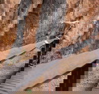Chillagoe Caves and Outback Day Trip from Cairns - Tourism Cairns