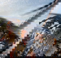 Melbourne and Port Phillip Bay Helicopter Tour - Tourism Cairns