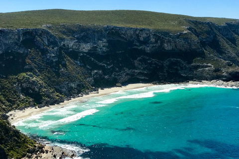 Kangaroo Island Scenic Trail Tour - Tourism Cairns 4