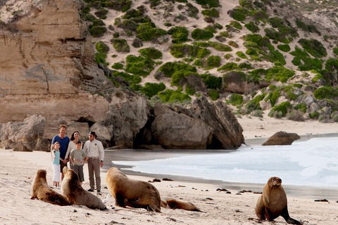 Kangaroo Island Scenic Trail Tour - Tourism Cairns 5