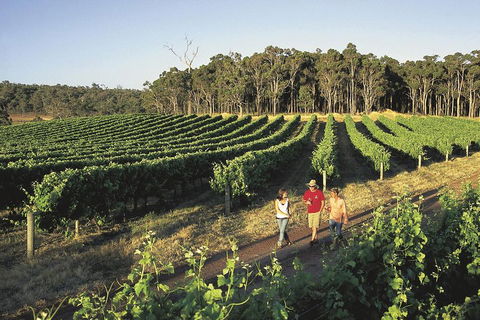Margaret River, Caves, Wine And Cape Leeuwin Lighthouse Tour From Perth - Tourism Cairns 1