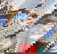 Pinnacles Desert Koalas and Sandboarding 4WD Day Tour from Perth - Tourism Cairns