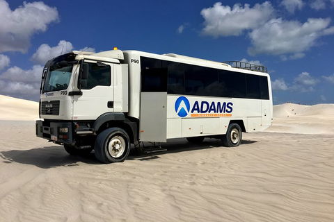 Pinnacles Desert, Koalas And Sandboarding 4WD Day Tour From Perth - Tourism Cairns 2