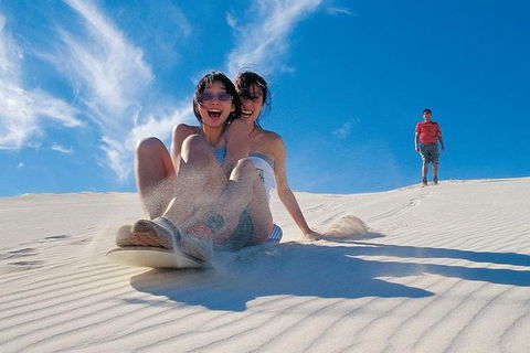 Pinnacles Desert, Koalas And Sandboarding 4WD Day Tour From Perth - Tourism Cairns 3