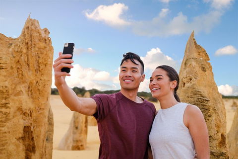 Pinnacles Desert, Koalas And Sandboarding 4WD Day Tour From Perth - Tourism Cairns 4