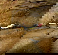 2-Day Wave Rock York Wildflowers  Aboriginal Experience - Tourism Cairns