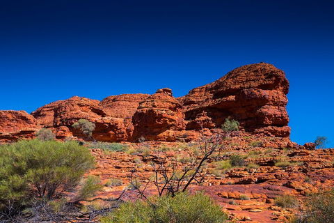 7-Day Guided Tour Of Alice Springs With Accommodation Included - Tourism Cairns 4