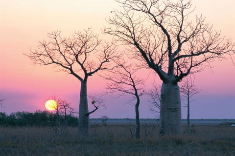 8-Day Outback Experience From Queensland - Tourism Cairns 5
