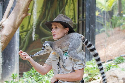 Currumbin Wildlife Sanctuary General Entry Ticket - Tourism Cairns 1