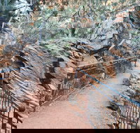 West MacDonnell Ranges Half - Day Tour - Tourism Cairns