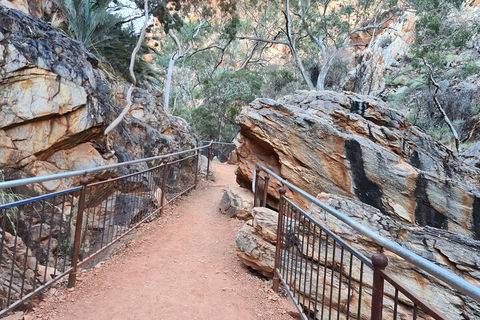 West MacDonnell Ranges Half - Day Tour - Tourism Cairns 0